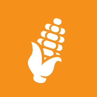Corn Kernels